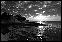 DSC02463ed.jpg