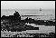 DSC02478ed.jpg