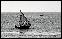 DSC02501ed2.jpg