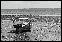 DSC02548ed1.jpg