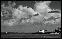 DSC02585ed_filtered.jpg