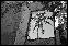 DSC02523copy.JPG