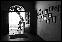 DSC02579ed.jpg