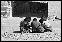 DSC02521copy.JPG