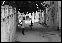 DSC02725ed.jpg