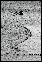 DSC03275ed.jpg