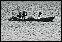 DSC03279ed.jpg