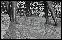 DSC03310ed.jpg
