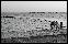 DSC03320ed.jpg