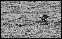 DSC03336ed.jpg